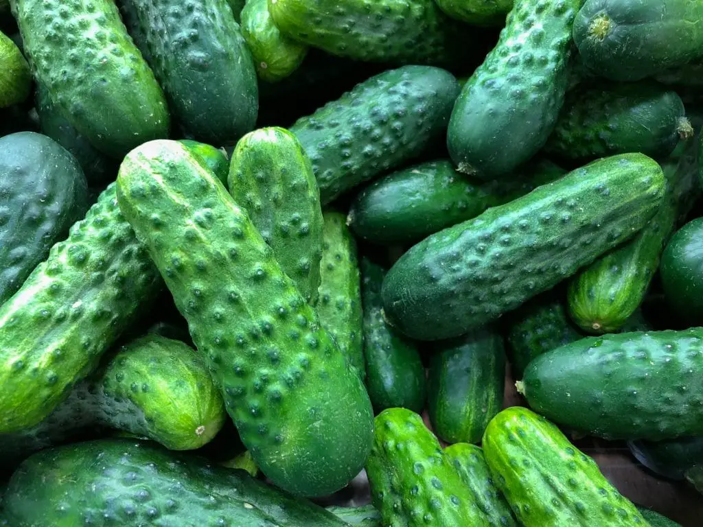 Trouver des probiotiques naturels pour l’intestin