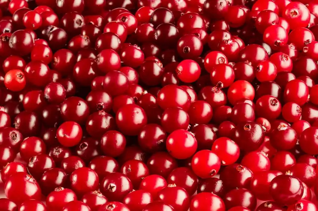 caneberge