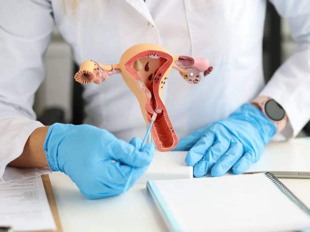 congelation-des-ovocytes-comment-faire-combien-coute