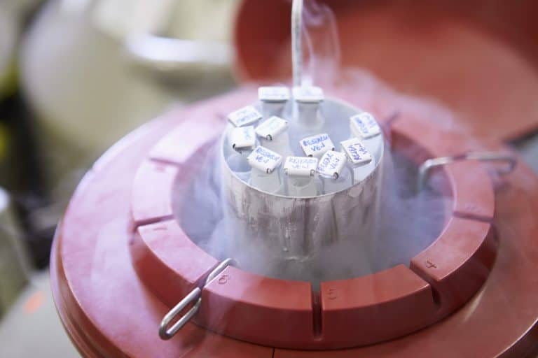 Congeler ses ovocytes pour préserver sa fertilité serait une mauvaise idée d’après une gynécologue