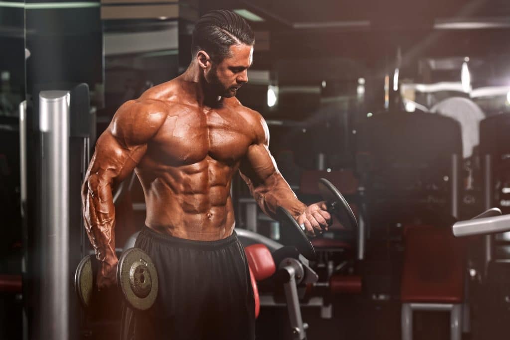 muscle santé