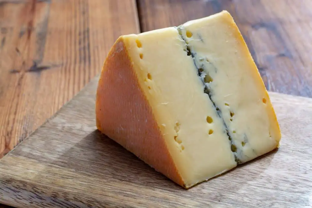 salmonélose fromage