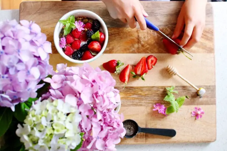 Quels sont les aliments les plus riches en antioxydants ? Quels sont les aliments les plus riches en antioxydants ?