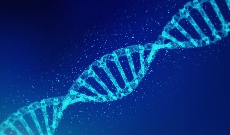 ADN : Qu’est ce que l’ADN humain ?