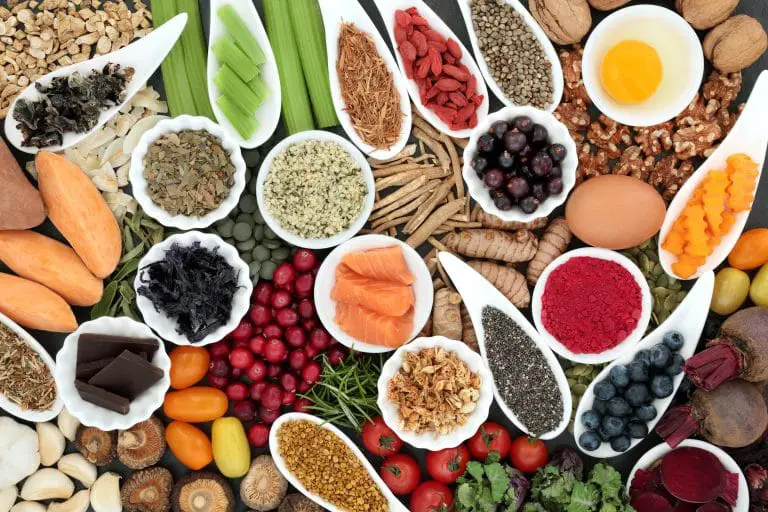 Nutriment : Quels sont les principaux nutriments ? Nutriment : Quels sont les principaux nutriments ?