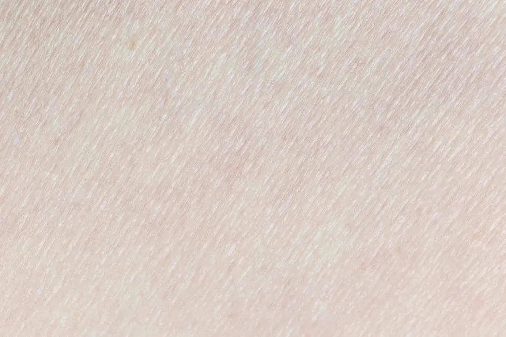 Qu’est-ce que l’épiderme ?