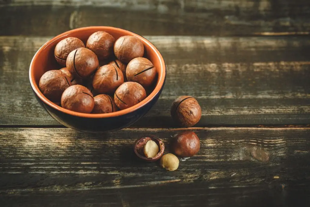 Quels sont les vertus et bienfaits de la noix de macadamia ?