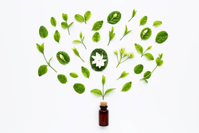 Quels sont les bienfaits des huiles essentielles ? Quels sont les bienfaits des huiles essentielles ?