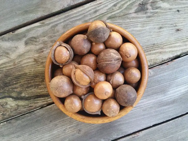 Noix de macadamia : pourquoi en manger et leurs bienfaits Noix de macadamia : pourquoi en manger et leurs bienfaits