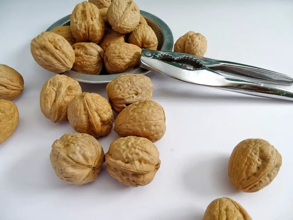 Est-ce bon de manger des noix tous les jours ?