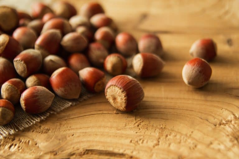Noisettes : pourquoi en manger et les bienfaits Noisettes : pourquoi en manger et les bienfaits