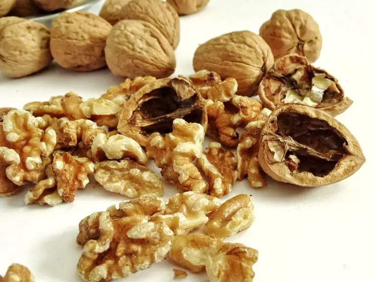 Noix : pourquoi en manger et leurs bienfaits Noix : pourquoi en manger et leurs bienfaits