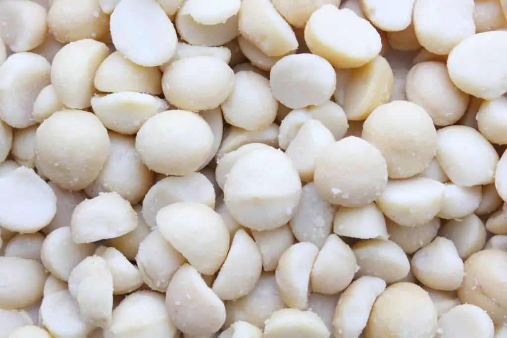 Les noix de macadamia
