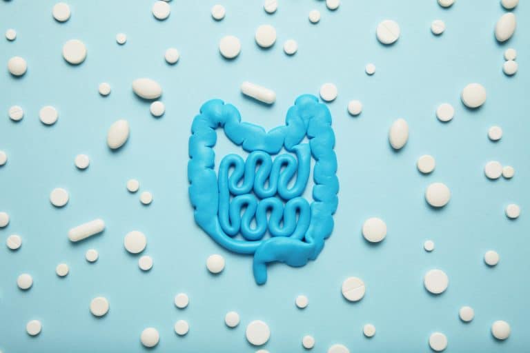Qu’est-ce que les probiotiques ? Qu’est-ce que les probiotiques ?