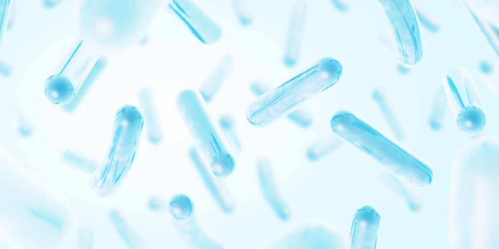 Les probiotiques sont-ils dangereux pour la santé ?