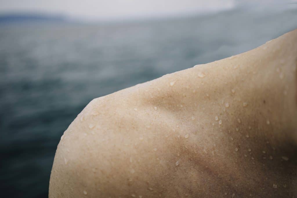 Épiderme — Définition