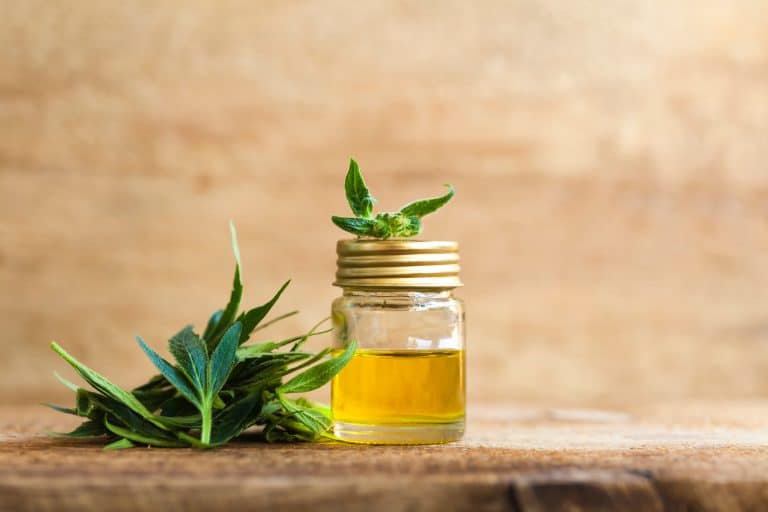 10 bienfaits insoupçonnés du cannabidiol (CBD) à découvrir ! 10 bienfaits insoupçonnés du cannabidiol (CBD) à découvrir !