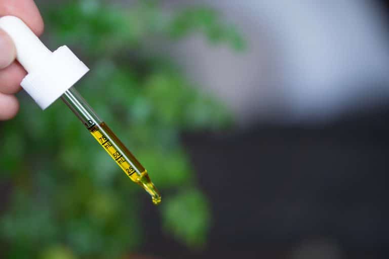 Quelles sont les différentes utilisations possibles de l’huile de CBD ? Quelles sont les différentes utilisations possibles de l’huile de CBD ?