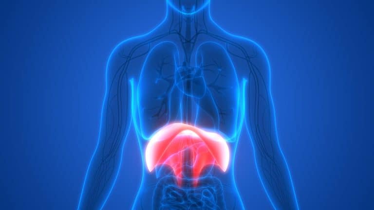 Diaphragme bloqué et plexus solaire tendu : Comment les débloquer ? Diaphragme bloqué et plexus solaire tendu : Comment les débloquer ?