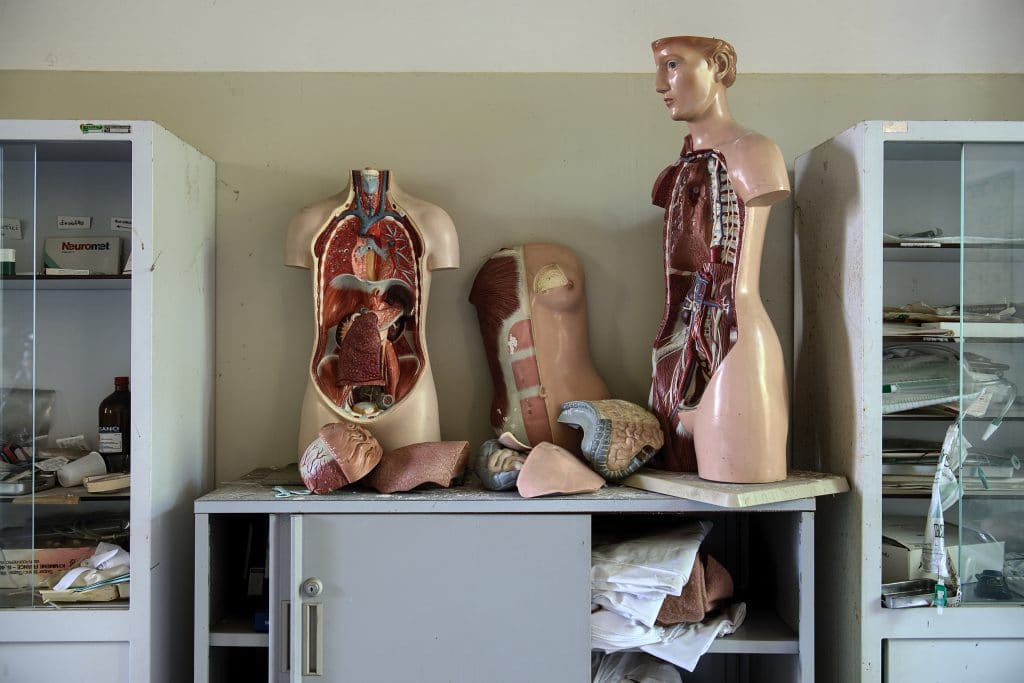Mannequins d'anatomie