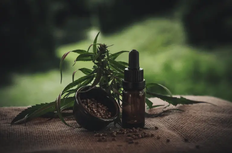 Les fleurs de CBD et leur consommation Les fleurs de CBD et leur consommation