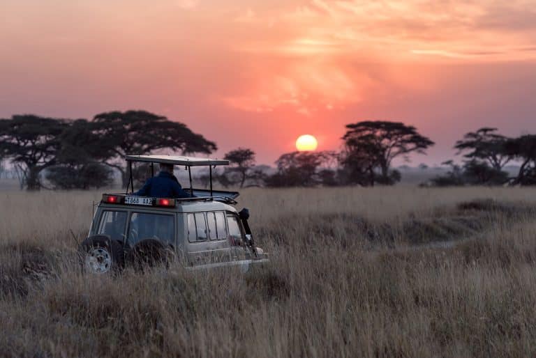 Conseils médicaux avant un safari en Tanzanie